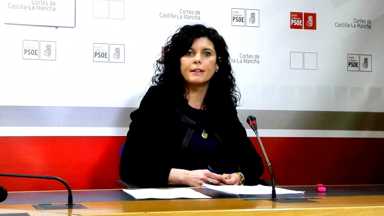 El PSOE insta a los dirigentes del PP a abandonar la oposición "destructiva, mentirosa y de sembrar miedo que están realizando"