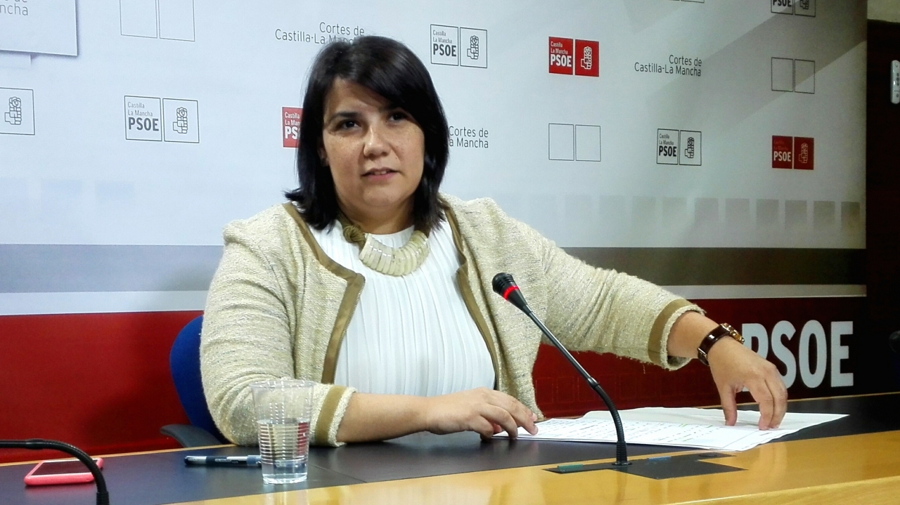 "El PP está alarmando para intentar tapar sus vergüenzas en la gestión del cementerio de neumáticos de Seseña"