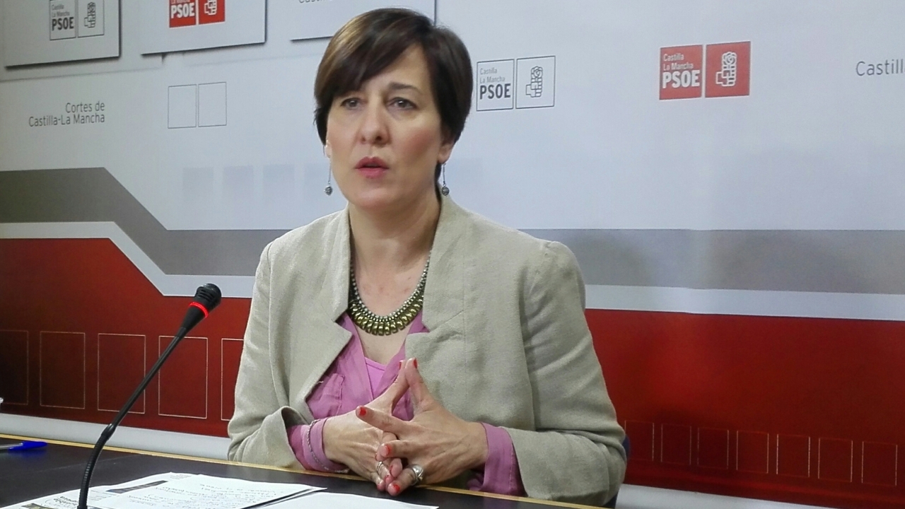 "Page y su gobierno han estado desde el primer minuto pendientes de dar soluciones al problema del cementerio de neumáticos"