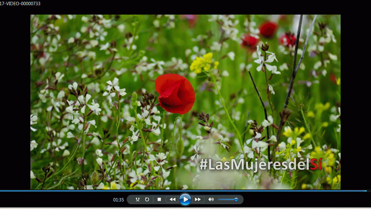 LasMujeresDelSí piden el voto para el PSOE, "el partido que logró los mayores avances en materia de igualdad y dio voz a las mujeres"