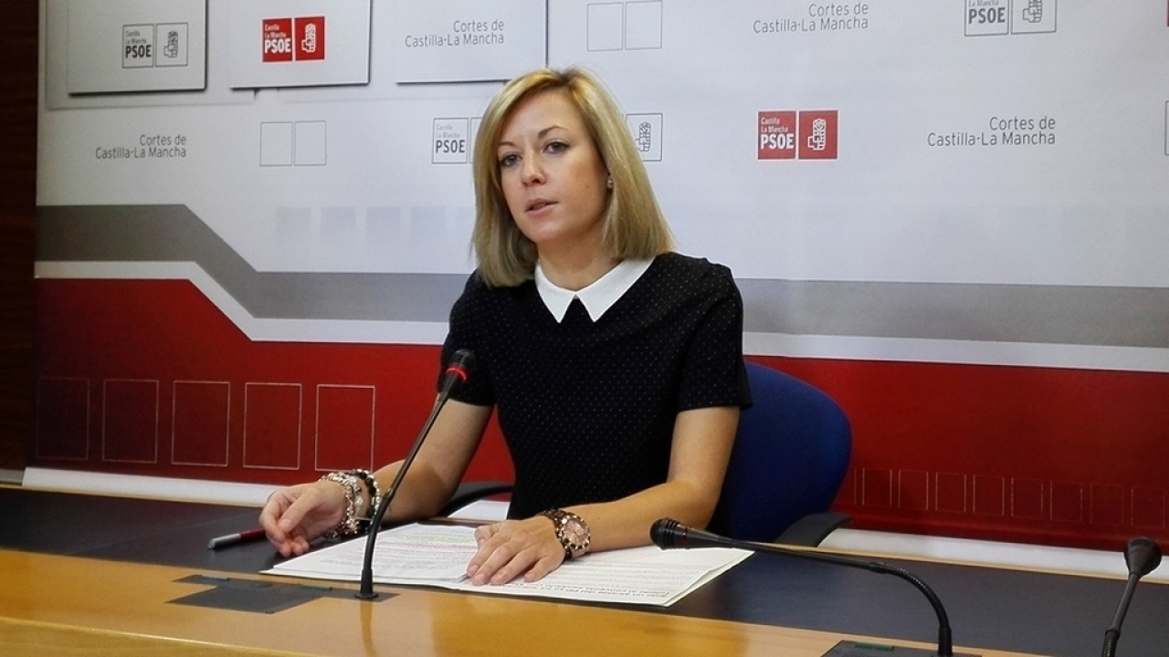 "Las mentiras que lanzan los dirigentes del PP son tan burdas que ni ellos mismos se las creen"