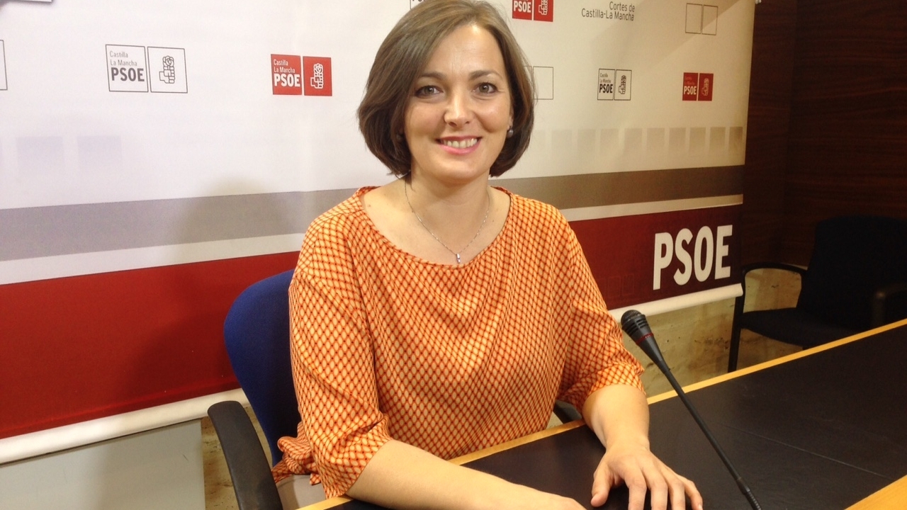 "Se están cumpliendo los plazos en la retirada de los residuos del incendio de Seseña"