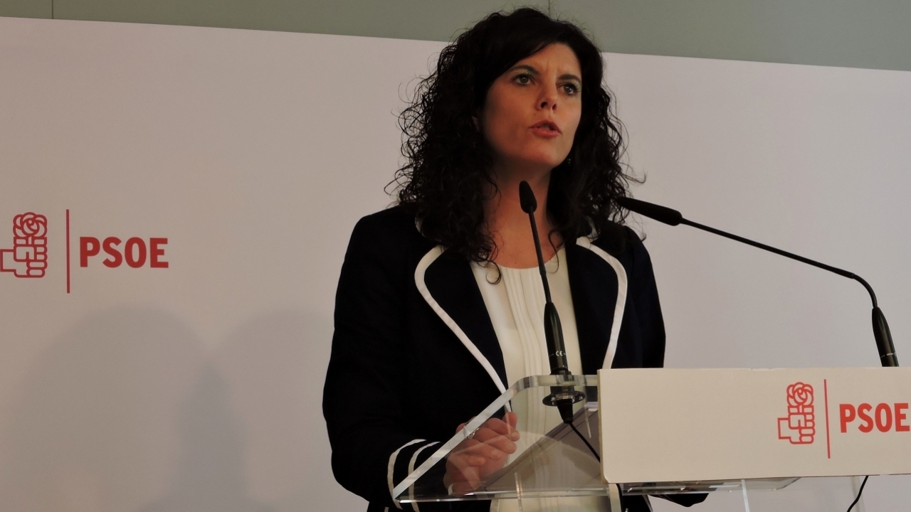 Navarrete: "Cospedal puso el cartel de se vende a la sanidad pública de Castilla-La Mancha"