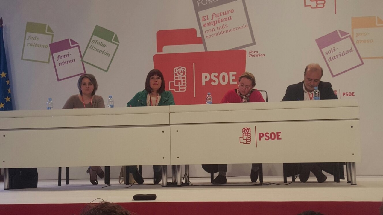 &quot;El PSOE ha sentado las bases para formar una alternativa que lidere el país&quot;