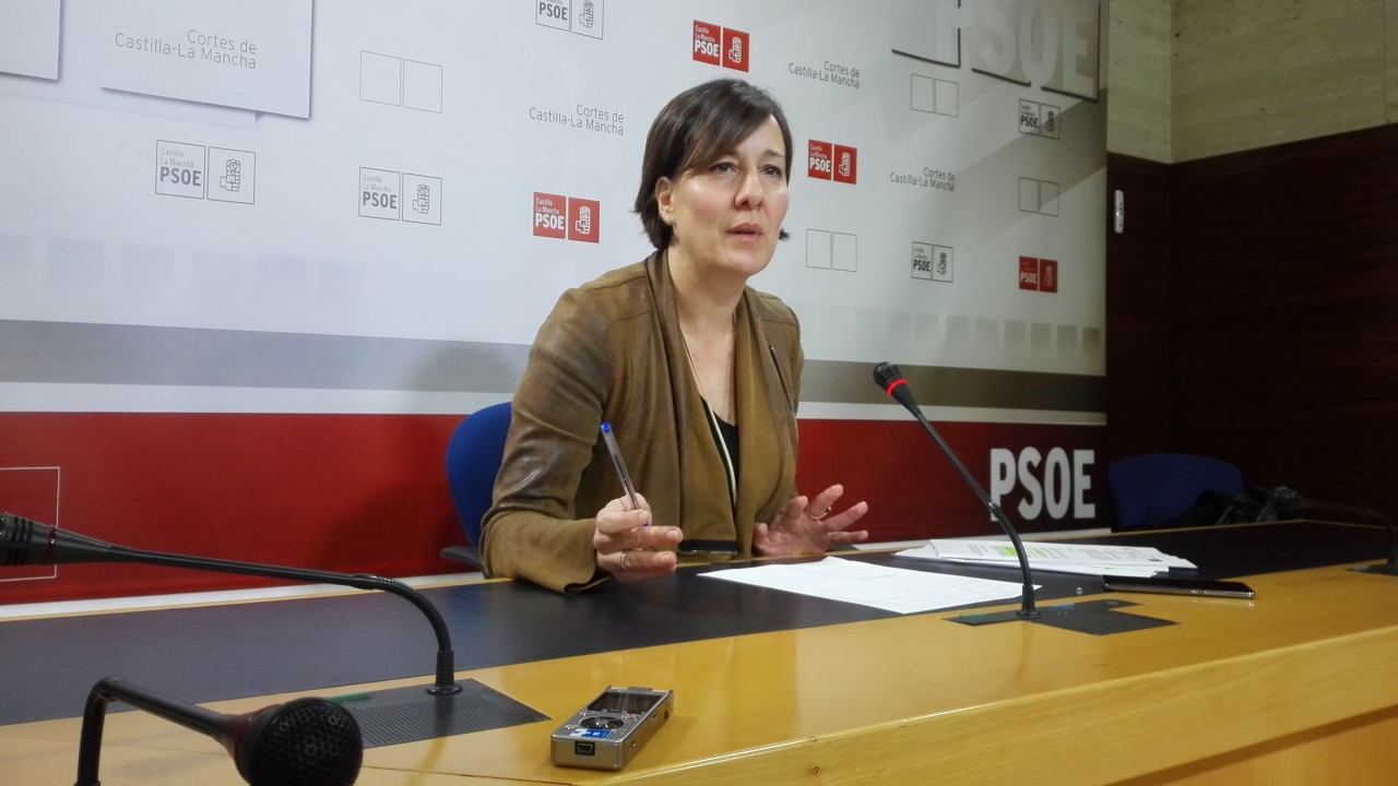 Fernández lamenta que las enmiendas &quot;temerarias e irresponsables&quot; del Partido Popular conlleven recortes en sanidad, servicios sociales y empleo