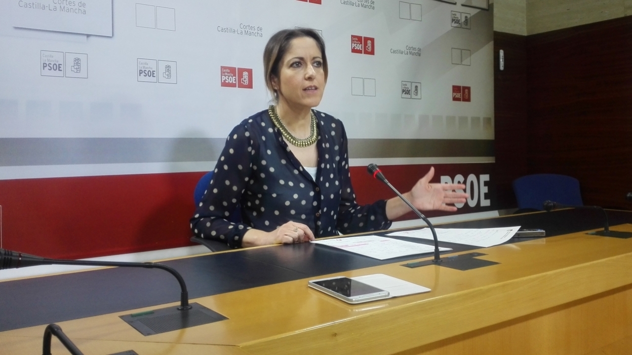 "Los presupuestos estaban pactados y lo que debería hacer García Molina es explicar a los ciudadanos porque incumplieron su palabra"