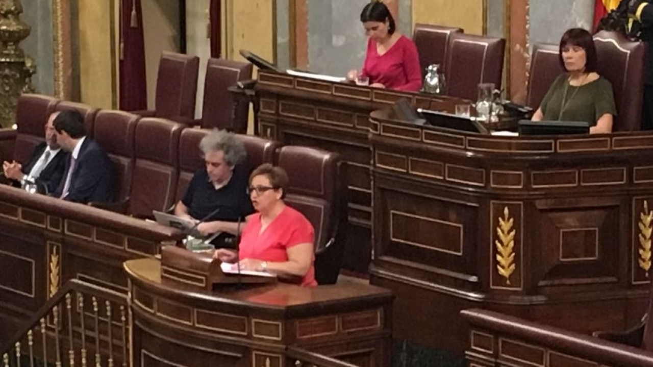 El PSOE presentará en las próximas semanas una propuesta de ley para regular la eutanasia