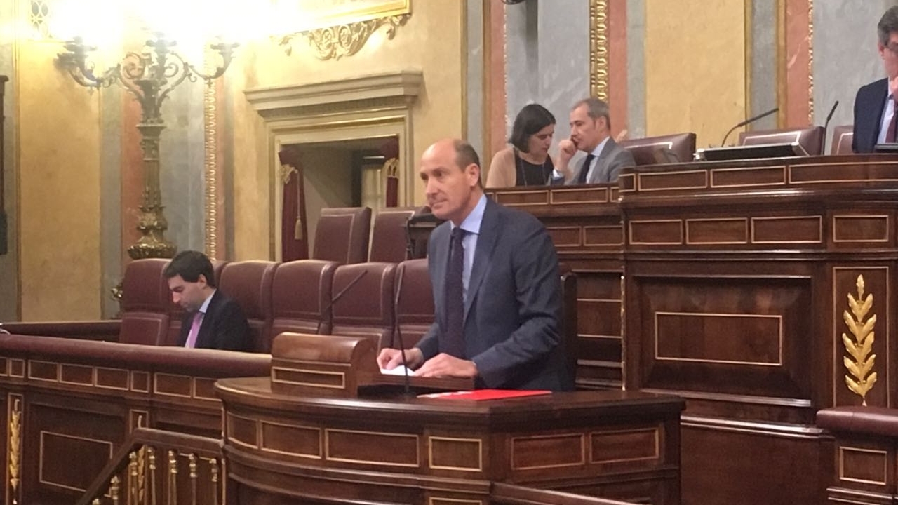 El PSOE pide al gobierno de España que haga una moratoria temporal del servicio de autobuses o una adjudicación directa por emergencia