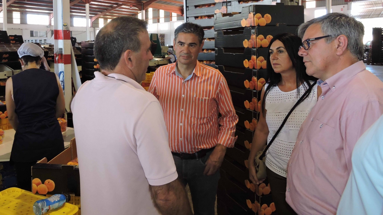 El PSOE denuncia el "maltrato" del PP hacia los intereses de Albacete y campos de Hellín con el recrecimiento de la presa de Camarillas