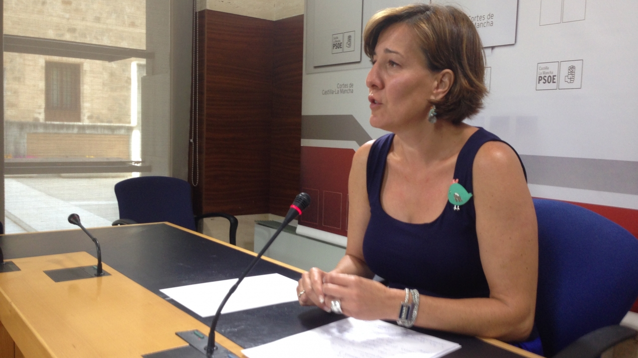 "Hoy es un buen día para C-LM y un mal día para los dirigentes del PP porque el Gobierno ha aprobado el proyecto de presupuestos"