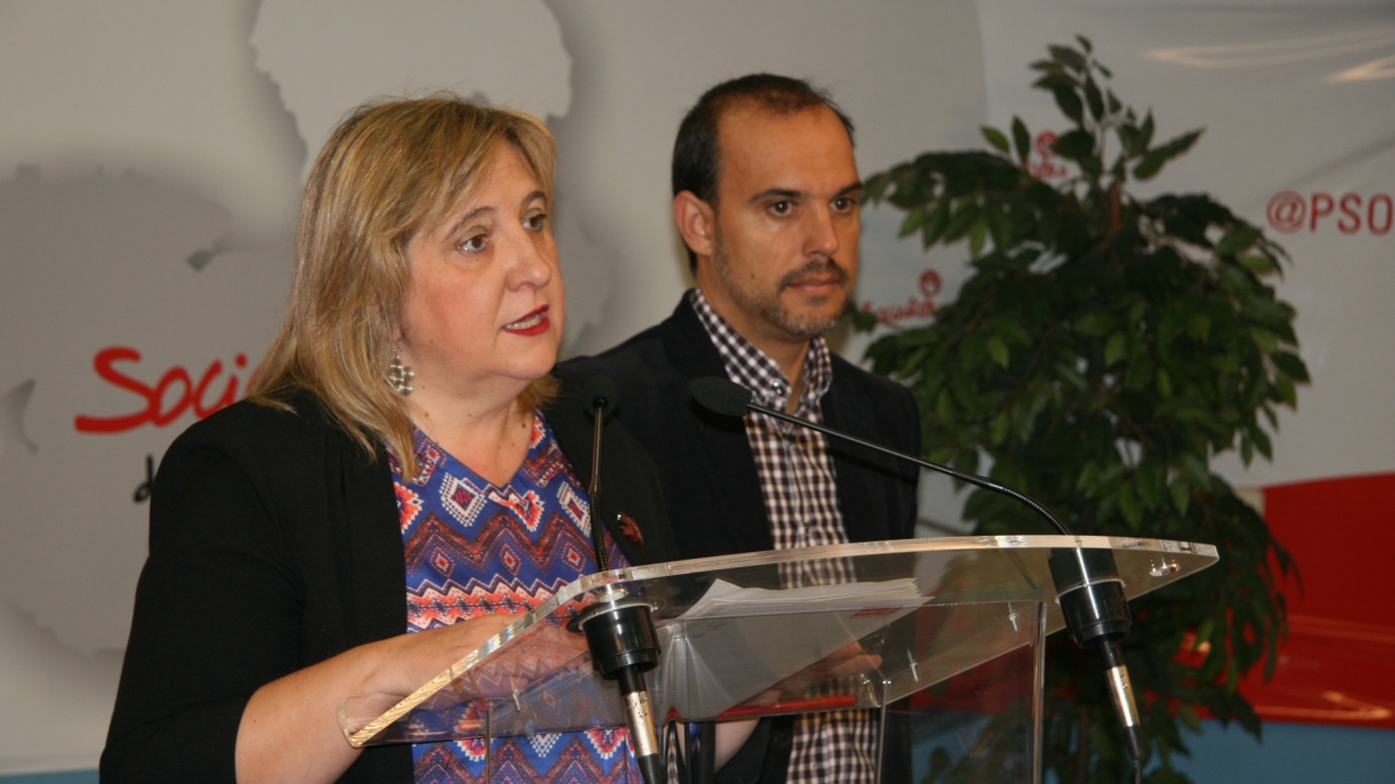 El PSOE plantea alternativas para evitar la vivienda privada del duque en el palacio del Infantado