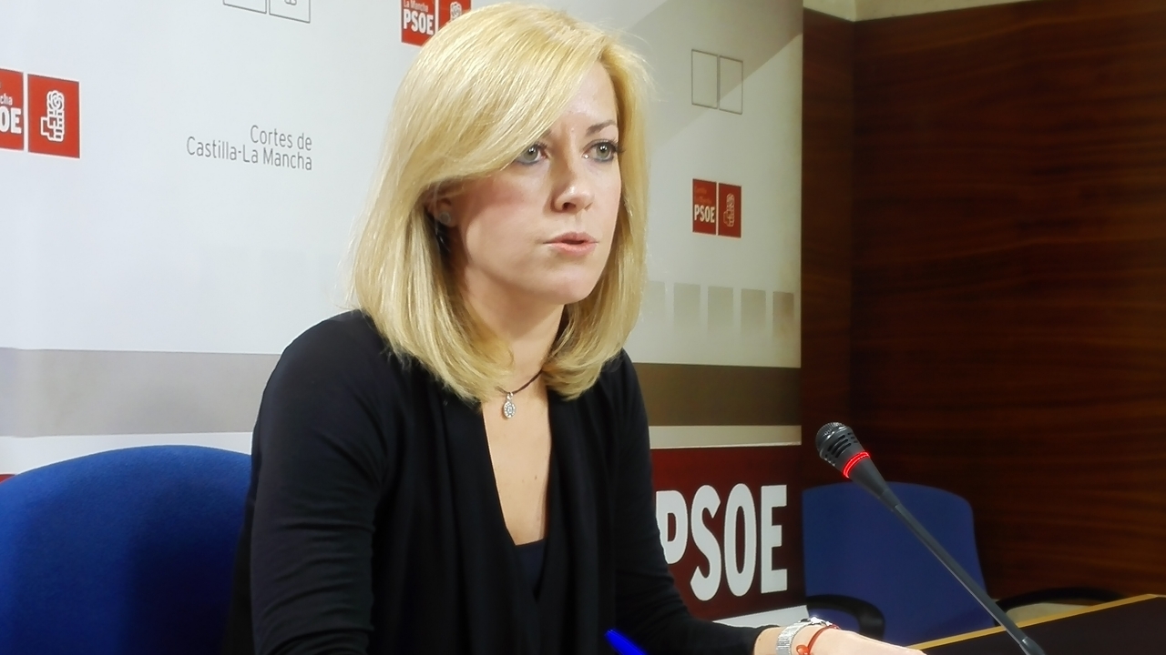 "Es muy irresponsable que el PP esté desprestigiando tanto la sanidad pública, para beneficiar a sus amigos"