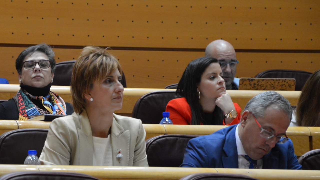 El PSOE reprocha a Montserrat que el Gobierno no dedica "ninguna atención" a los más desfavorecidos y reduce a un "irrisorio" 2,9% su aportación al Plan Concertado de Servicios Sociales