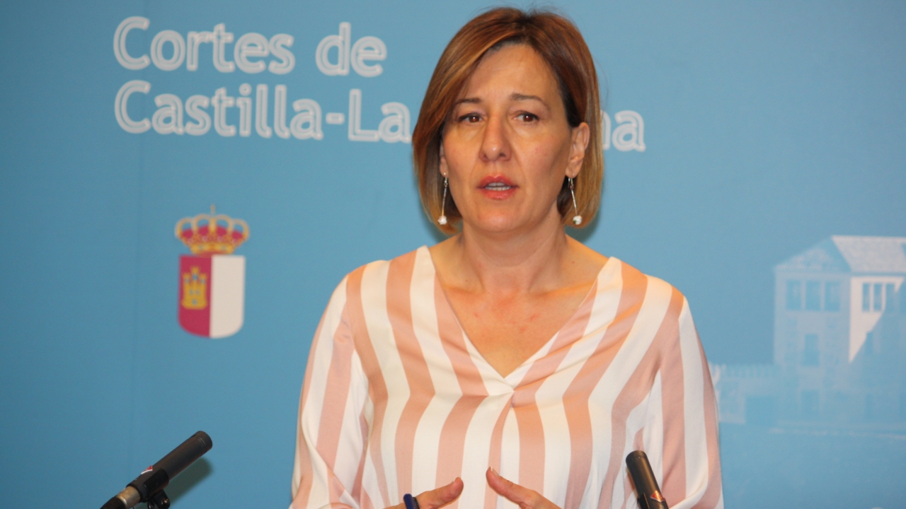 El Grupo socialista critica que los diputados del PP utilicen asuntos de Estado para buscar la confrontación política