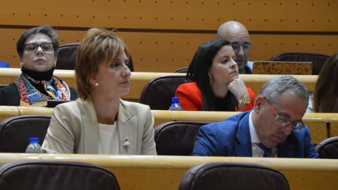 El PSOE exige a De la Serna "un verdadero plan estratégico" para frenar la sobrepoblación de conejos