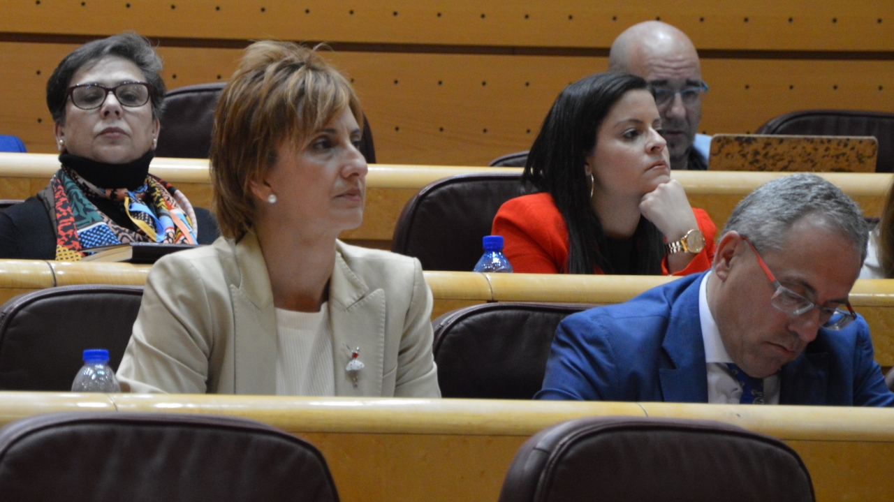 Galiano: "Los Presupuestos amplían derechos sociales y blindan el Estado del Bienestar"