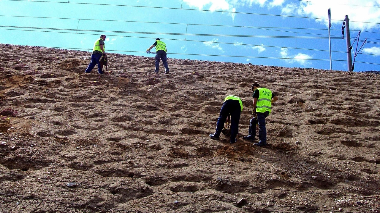 Adif instala 450 kilómetros de vallado para proteger vías frente a conejos