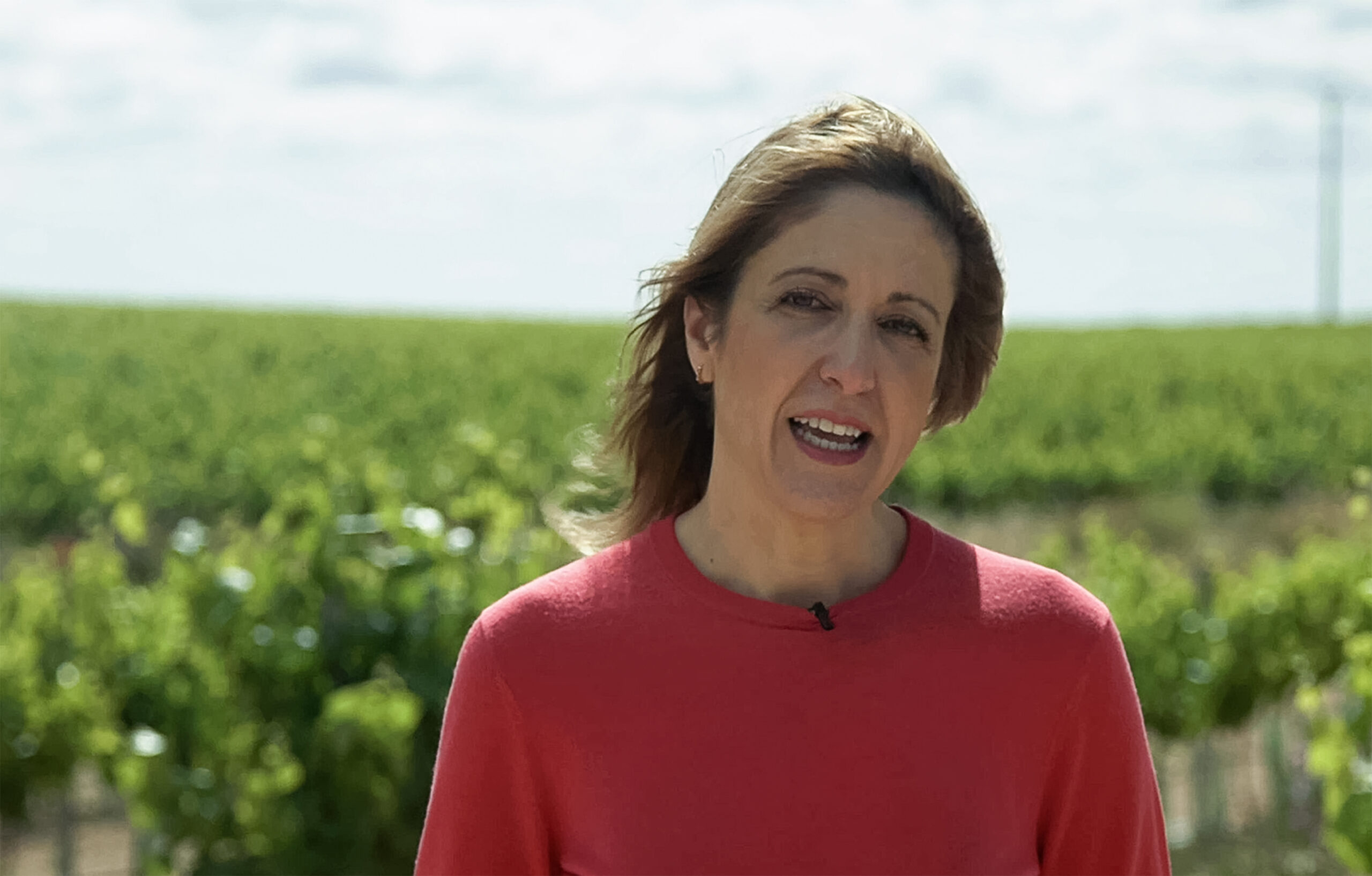 Maestre pide el voto al PSOE para “seguir trabajando en garantizar el futuro de la agricultura y del medio rural”