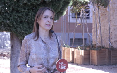 Maestre pregunta al PP y Vox por qué no trabajan en impedir los recortes de la PAC de Europa como está haciendo el PSOE