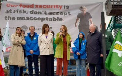 Cristina Maestre pide al PP que apoye el bloqueo del fondo único y ha acusado a la Comisión de dividir a los agricultores