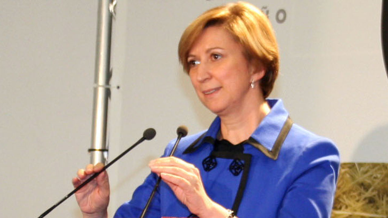 Araújo cree que a principios de 2011 «se podrá hablar» del inicio de la recuperación económica en la región