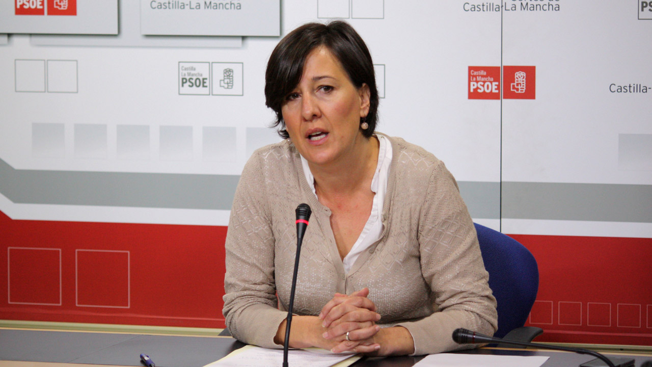 Fernández: “La Ley Wert dejará sin acceso gratuito a los libros de texto a muchos alumnos de Castilla-La Mancha”