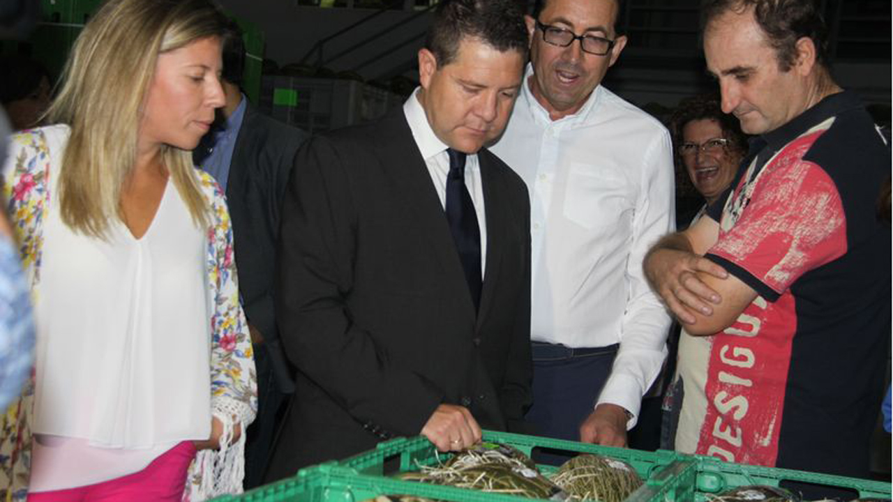 García-Page: «Se podían prever los problemas de esta campaña de la vendimia. Lo que no era previsible es la apatía del Gobierno de Cospedal»